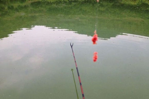 夏天适合深钓还是浅钓_WWW.YUJUCEPING.COM