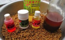 自制钓鲤鱼窝料配方中药酒分享