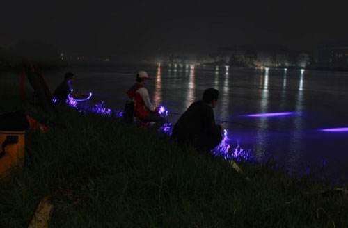 夏天夜钓怎么钓鱼大鱼_WWW.YUJUCEPING.COM