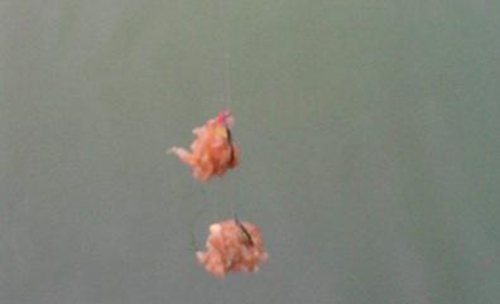拉饵需要具备哪些特性_WWW.YUJUCEPING.COM