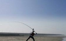 海水路亚对象鱼介绍