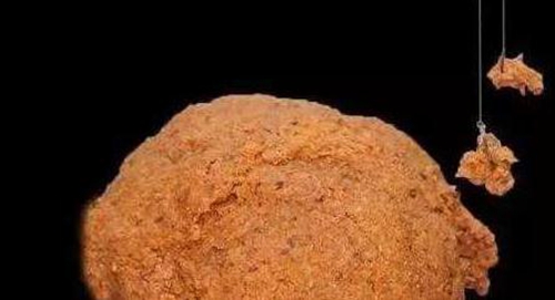 怎么选用适宜的饵料_WWW.YUJUCEPING.COM