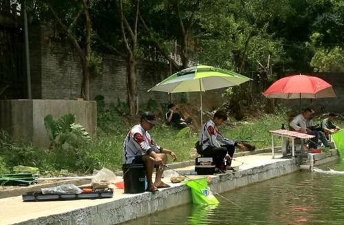 怎么在竞技池钓鱼生口鱼_WWW.YUJUCEPING.COM
