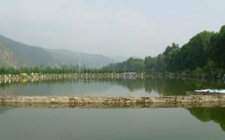 黑坑钓鱼要细探钓场鱼情