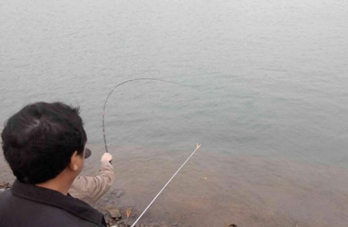 在浅水处应该怎么钓近_WWW.YUJUCEPING.COM