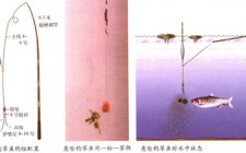 钓草鱼用几号钩