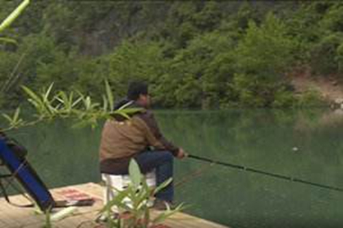 夏天黑坑中钓鲤鱼的小技巧_WWW.YUJUCEPING.COM