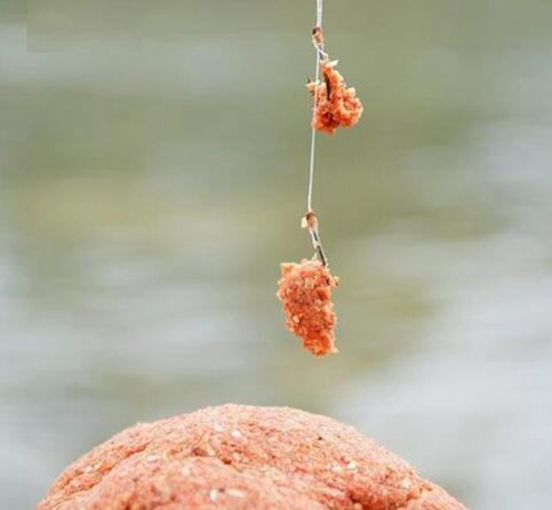 夏天混养塘怎么钓鲤鱼_WWW.YUJUCEPING.COM