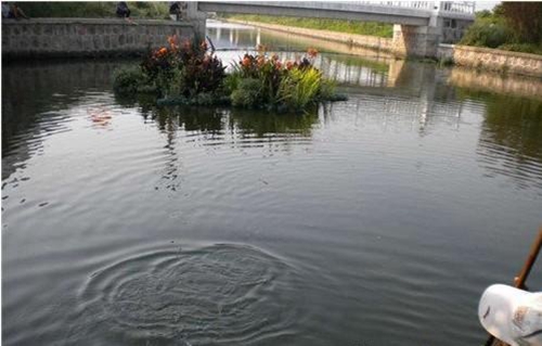 夏天钓鱼鲢鳙的技巧_WWW.YUJUCEPING.COM