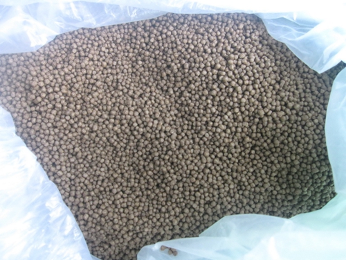 钓鲫鱼用什么饵料_WWW.YUJUCEPING.COM