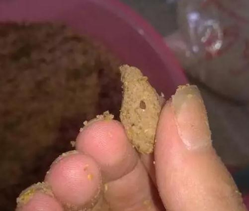 鸡肝钓鱼的操作方法_WWW.YUJUCEPING.COM