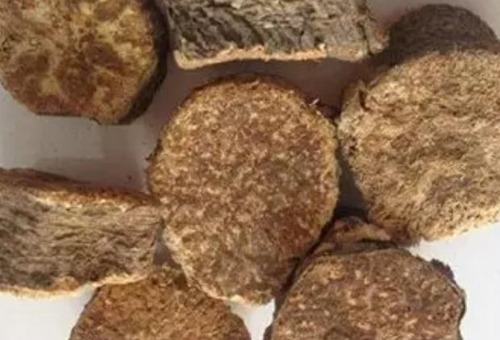 阿魏钓鱼小药怎么用_WWW.YUJUCEPING.COM