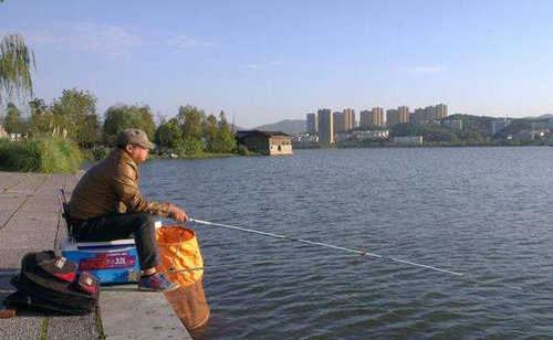 阿魏钓鱼小药怎么用_WWW.YUJUCEPING.COM