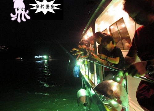 夜钓墨鱼的钓法方法介绍_WWW.YUJUCEPING.COM