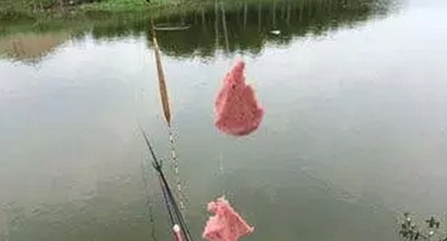 黑坑钓鱼鲫鱼怎么用饵_WWW.YUJUCEPING.COM