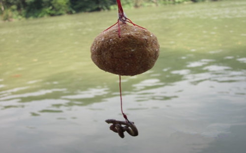钓鳜鱼用什么饵_WWW.YUJUCEPING.COM