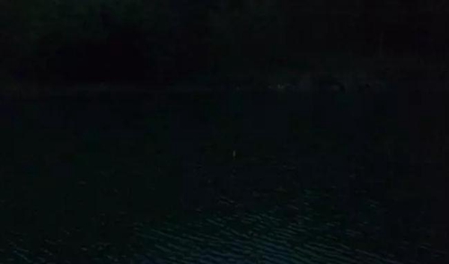 夜钓鲫鱼技巧_WWW.YUJUCEPING.COM