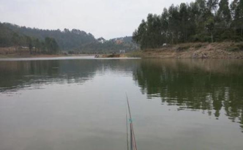 钓黄尾鲴的最佳时间_WWW.YUJUCEPING.COM