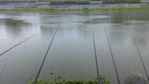 阴天钓鱼好不好_WWW.YUJUCEPING.COM