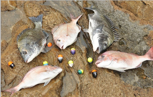 海钓鱼饵有哪些_WWW.YUJUCEPING.COM
