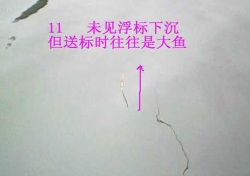 怎么分辨鱼咬钩的浮漂漂相_WWW.YUJUCEPING.COM