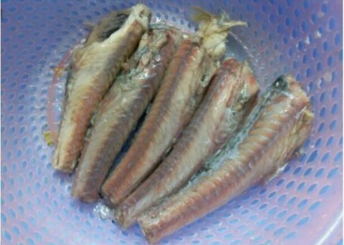 清道夫鱼能吃吗_WWW.YUJUCEPING.COM