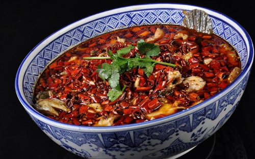 麻辣鱼的家常做法_WWW.YUJUCEPING.COM