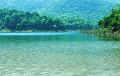 传统钓钓位怎么选择_WWW.YUJUCEPING.COM