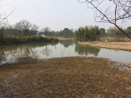 传统钓草洞钓点怎么选择_WWW.YUJUCEPING.COM