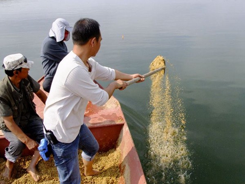 豆饼是什么_WWW.YUJUCEPING.COM