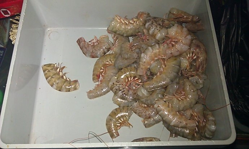 虾饵怎么挂钩_WWW.YUJUCEPING.COM