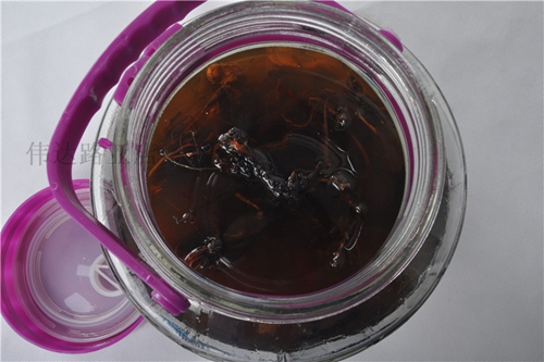 钓鱼泡药酒用什么酒好_WWW.YUJUCEPING.COM