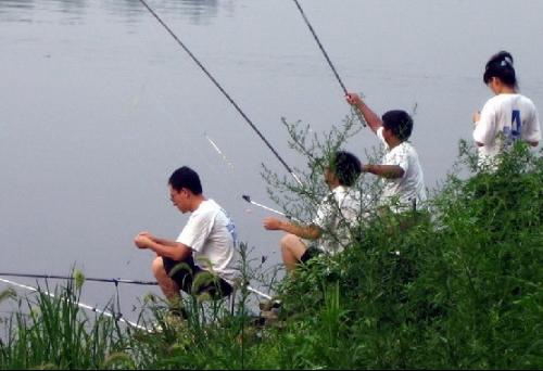 气压多少适合钓鱼_WWW.YUJUCEPING.COM