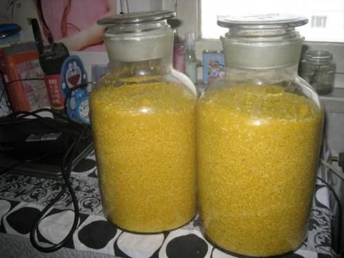 钓鱼酒米打窝的技巧_WWW.YUJUCEPING.COM