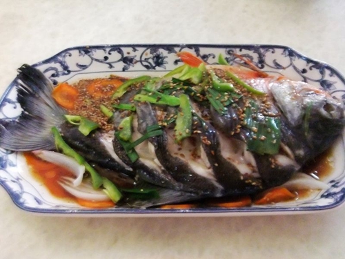 文昌鱼怎么做好吃_WWW.YUJUCEPING.COM