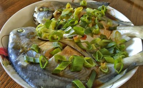文昌鱼怎么做好吃_WWW.YUJUCEPING.COM