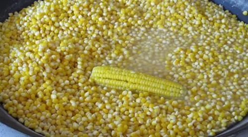 素饵分类介绍_WWW.YUJUCEPING.COM