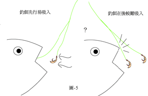 钓线的配置决定钓鱼成败_WWW.YUJUCEPING.COM