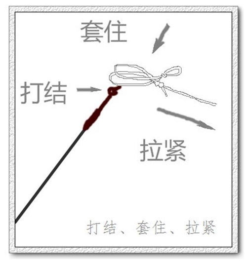 钓线的配置决定钓鱼成败_WWW.YUJUCEPING.COM