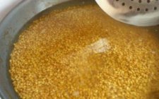 常见的腥荤类窝料配方大全