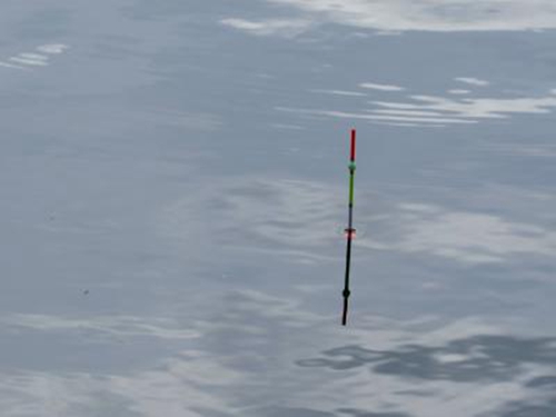 浮标的作用及选浮标小技巧_WWW.YUJUCEPING.COM