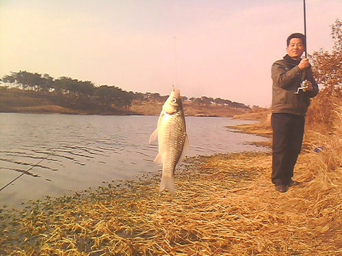 钓鱼打窝的步骤_WWW.YUJUCEPING.COM