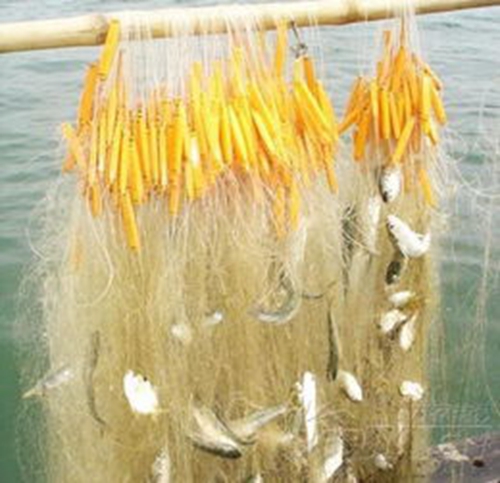 出海钓鱼基本常识_WWW.YUJUCEPING.COM