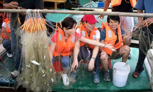 出海钓鱼基本常识_WWW.YUJUCEPING.COM