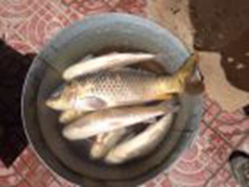 野钓时钓低好还是浮钓好_WWW.YUJUCEPING.COM
