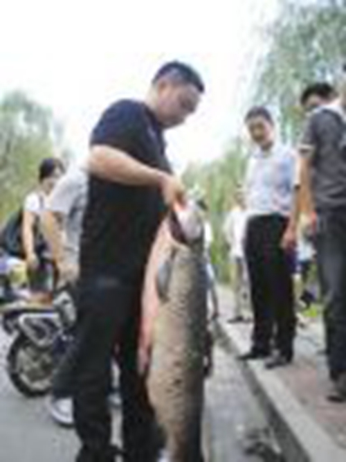 草鱼咬钩是什么样子_WWW.YUJUCEPING.COM