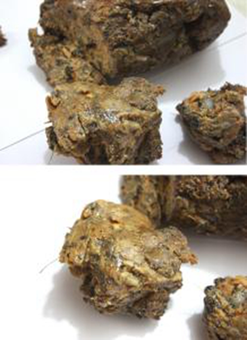 阿魏钓鱼配方添加剂应用_WWW.YUJUCEPING.COM