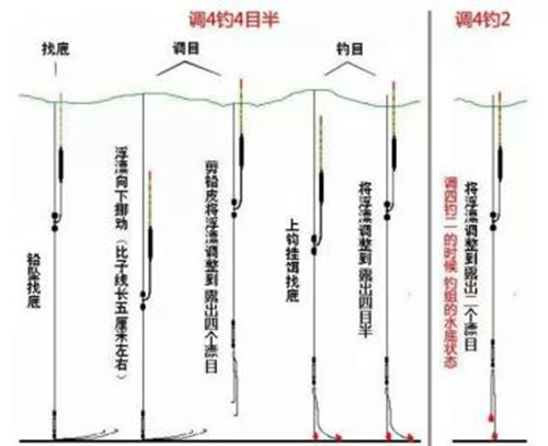 长竿短线七星漂朝天钩钓法_WWW.YUJUCEPING.COM