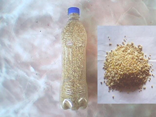 酒米做窝红虫施钓技巧_WWW.YUJUCEPING.COM
