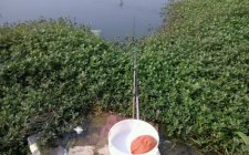 钓草窝怎么选钓点